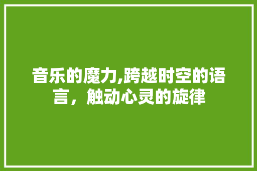 音乐的魔力,跨越时空的语言，触动心灵的旋律