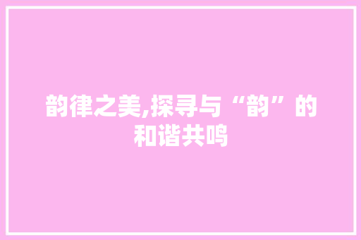 韵律之美,探寻与“韵”的和谐共鸣
