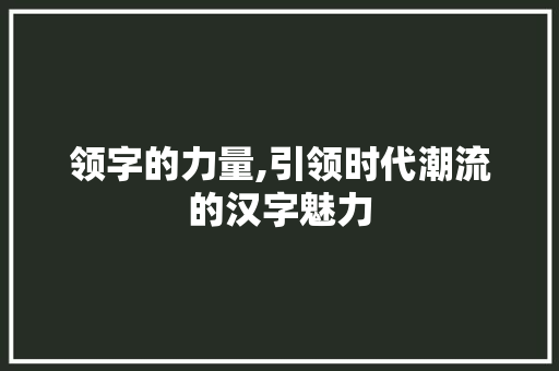 领字的力量,引领时代潮流的汉字魅力