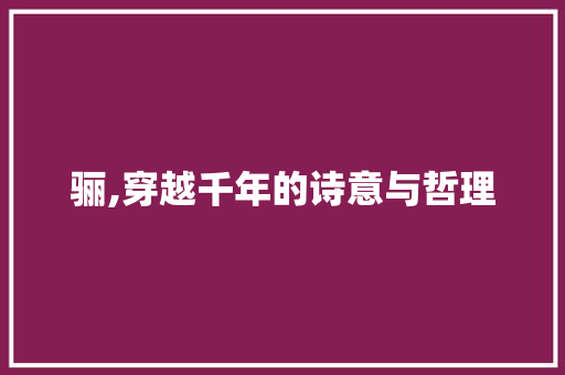 骊,穿越千年的诗意与哲理