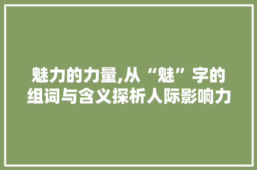 魅力的力量,从“魅”字的组词与含义探析人际影响力