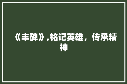 《丰碑》,铭记英雄，传承精神