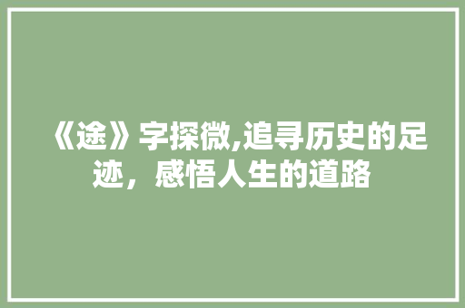 《途》字探微,追寻历史的足迹，感悟人生的道路