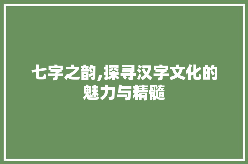七字之韵,探寻汉字文化的魅力与精髓