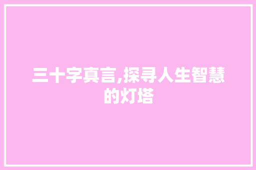 三十字真言,探寻人生智慧的灯塔