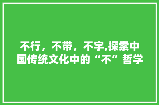 不行，不带，不字,探索中国传统文化中的“不”哲学