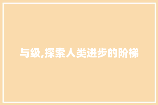 与级,探索人类进步的阶梯