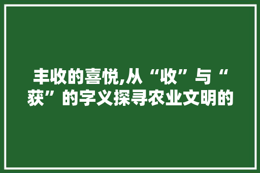 丰收的喜悦,从“收”与“获”的字义探寻农业文明的辉煌