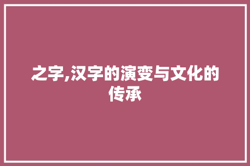 之字,汉字的演变与文化的传承