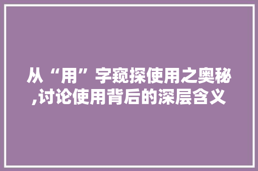 从“用”字窥探使用之奥秘,讨论使用背后的深层含义及价值
