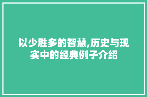 以少胜多的智慧,历史与现实中的经典例子介绍