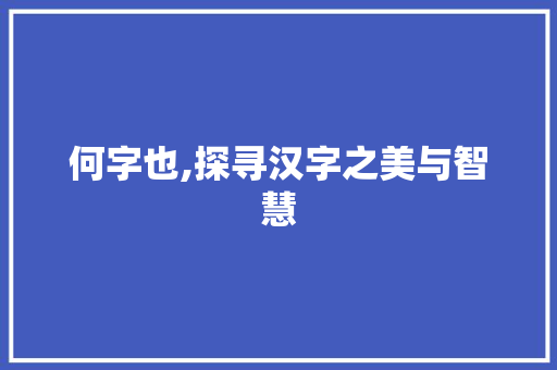 何字也,探寻汉字之美与智慧