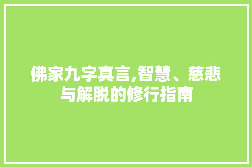 佛家九字真言,智慧、慈悲与解脱的修行指南