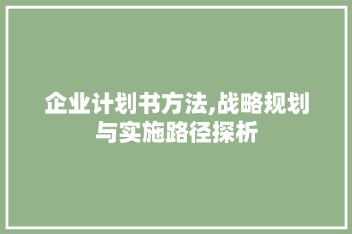 企业计划书方法,战略规划与实施路径探析