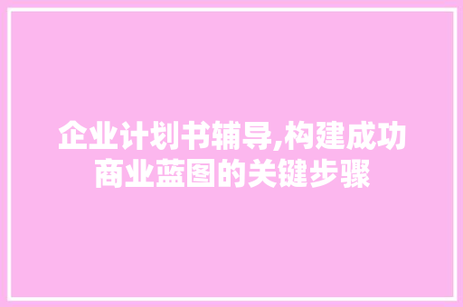 企业计划书辅导,构建成功商业蓝图的关键步骤