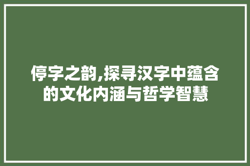 停字之韵,探寻汉字中蕴含的文化内涵与哲学智慧