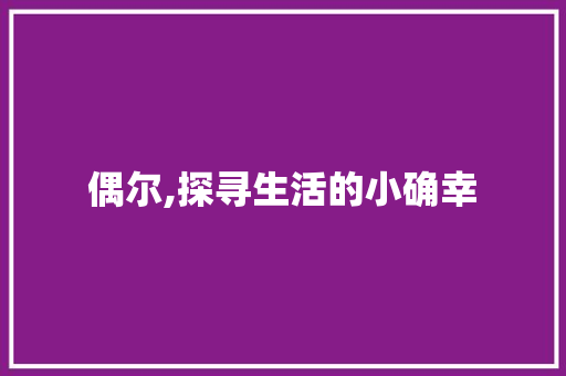 偶尔,探寻生活的小确幸