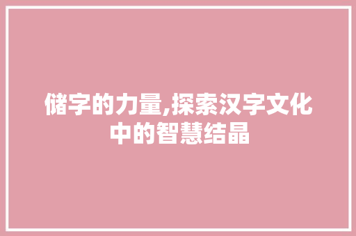 储字的力量,探索汉字文化中的智慧结晶