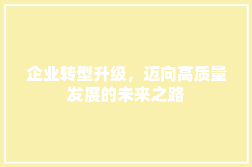 企业转型升级，迈向高质量发展的未来之路