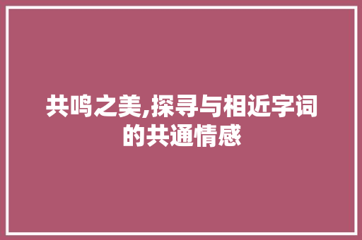 共鸣之美,探寻与相近字词的共通情感