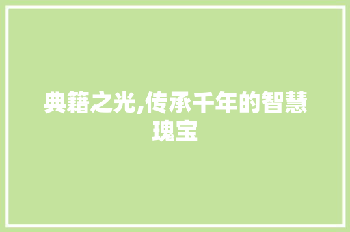典籍之光,传承千年的智慧瑰宝