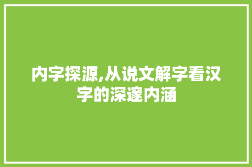 内字探源,从说文解字看汉字的深邃内涵