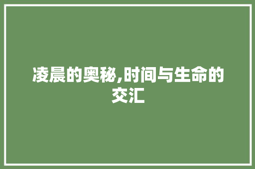 凌晨的奥秘,时间与生命的交汇