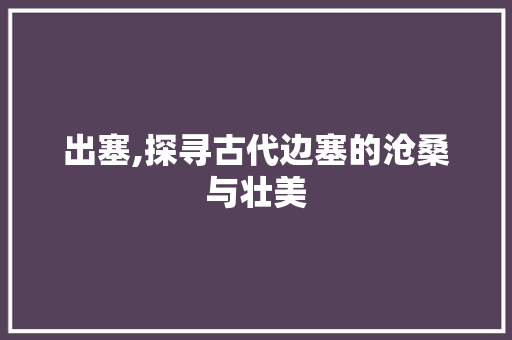 出塞,探寻古代边塞的沧桑与壮美