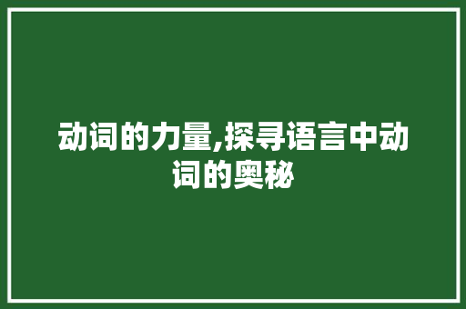 动词的力量,探寻语言中动词的奥秘