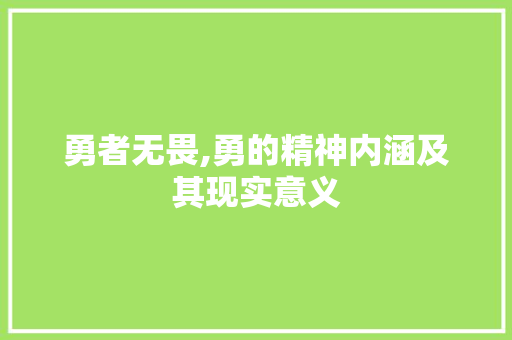 勇者无畏,勇的精神内涵及其现实意义