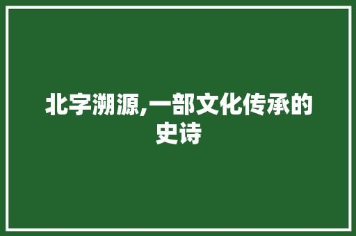北字溯源,一部文化传承的史诗