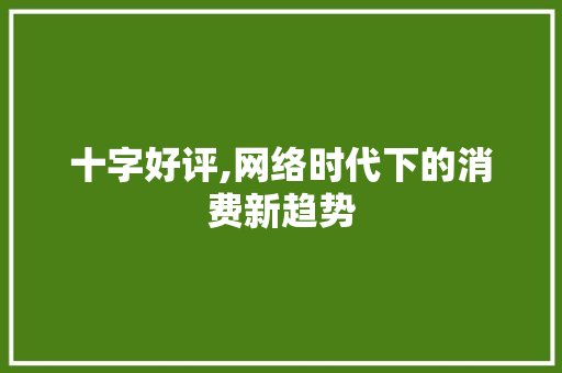 十字好评,网络时代下的消费新趋势