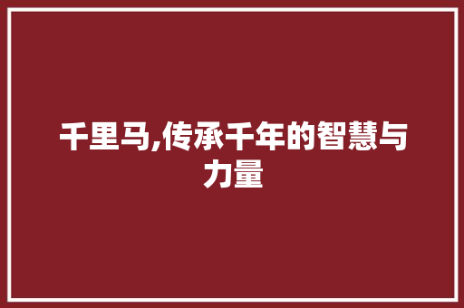 千里马,传承千年的智慧与力量