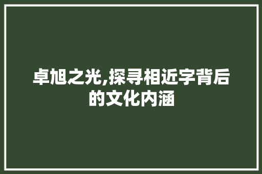 卓旭之光,探寻相近字背后的文化内涵