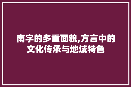 南字的多重面貌,方言中的文化传承与地域特色