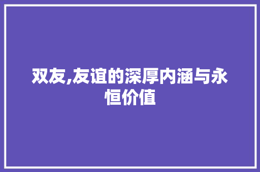双友,友谊的深厚内涵与永恒价值