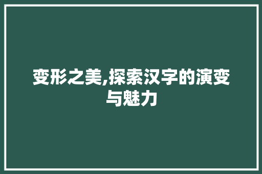 变形之美,探索汉字的演变与魅力