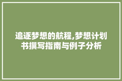 追逐梦想的航程,梦想计划书撰写指南与例子分析