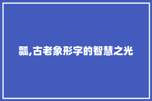 瓢,古老象形字的智慧之光