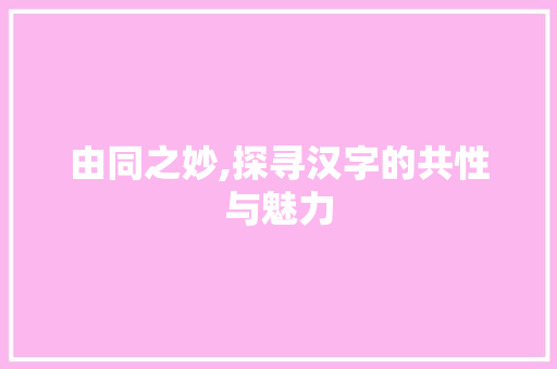 由同之妙,探寻汉字的共性与魅力