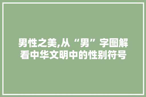 男性之美,从“男”字图解看中华文明中的性别符号 生活类