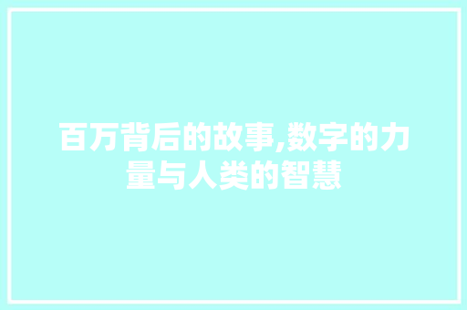 百万背后的故事,数字的力量与人类的智慧