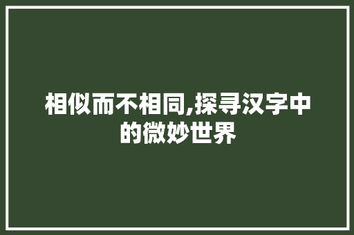 相似而不相同,探寻汉字中的微妙世界