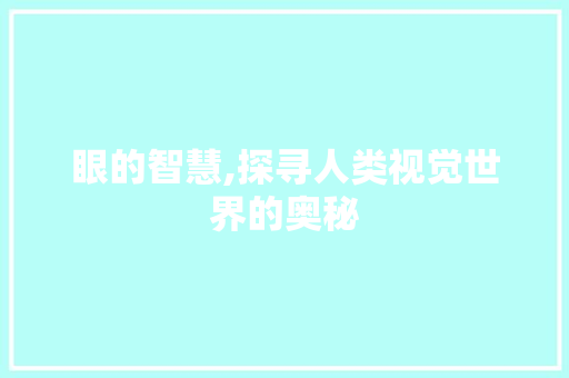 眼的智慧,探寻人类视觉世界的奥秘