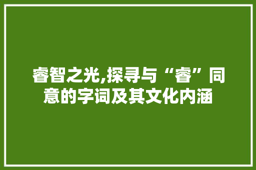 睿智之光,探寻与“睿”同意的字词及其文化内涵