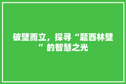 破壁而立，探寻“题西林壁”的智慧之光 工作类