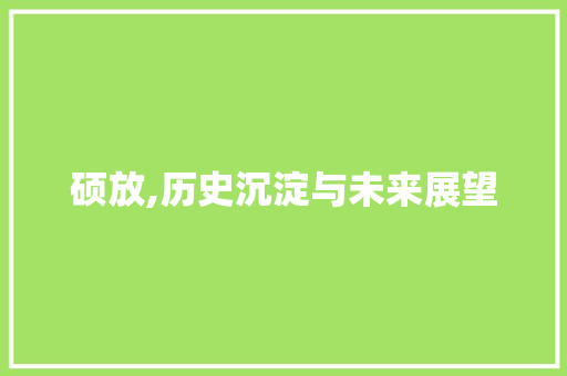 硕放,历史沉淀与未来展望