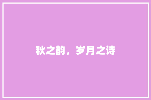 秋之韵，岁月之诗
