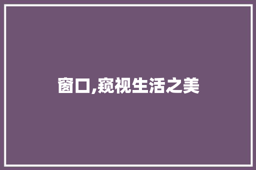 窗口,窥视生活之美