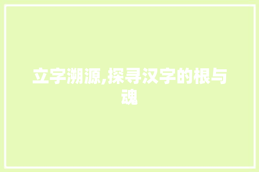 立字溯源,探寻汉字的根与魂